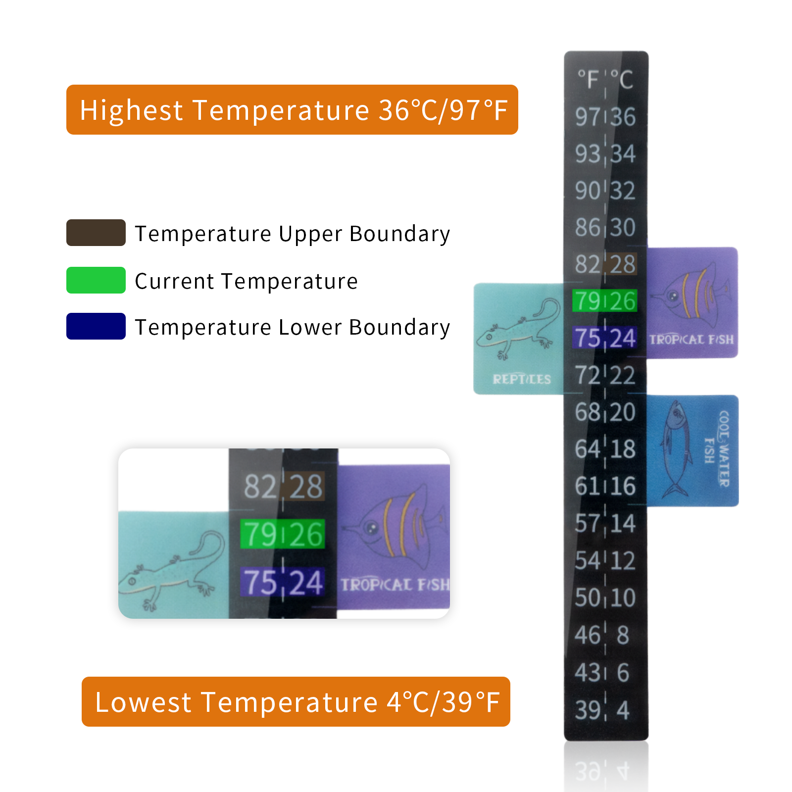 Stick-On Thermometer - 4 in - 40F-120F